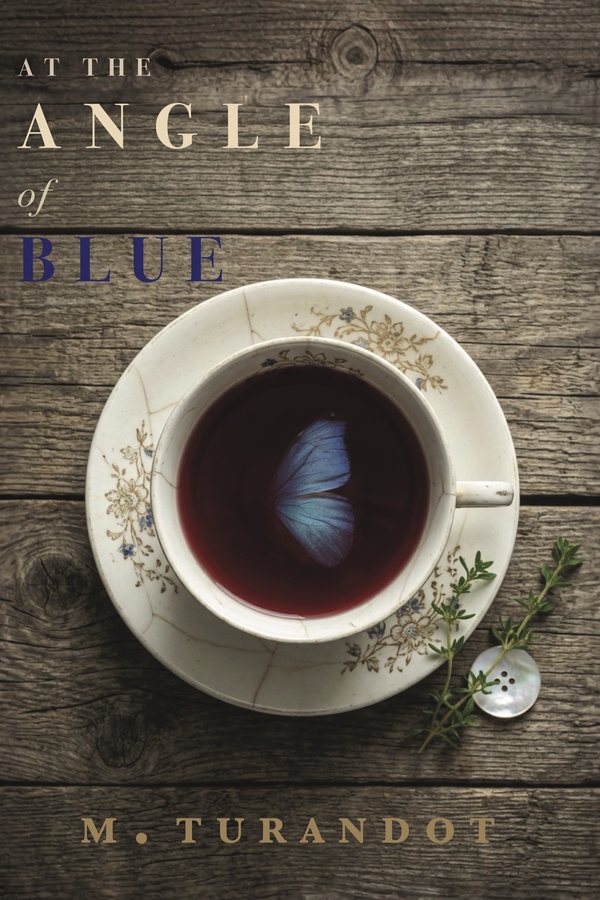 Front cover of At the Angle of Blue by M. Turandot